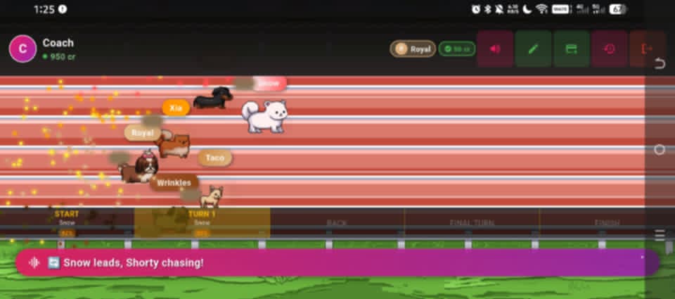 Dog Race Game